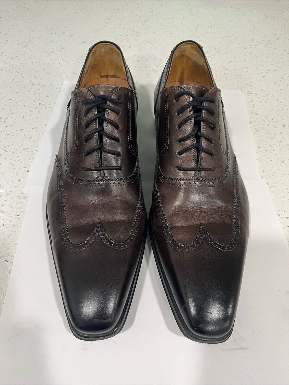 Magnanni Dark Brown Leather Wingtip Oxfords - Paid $400